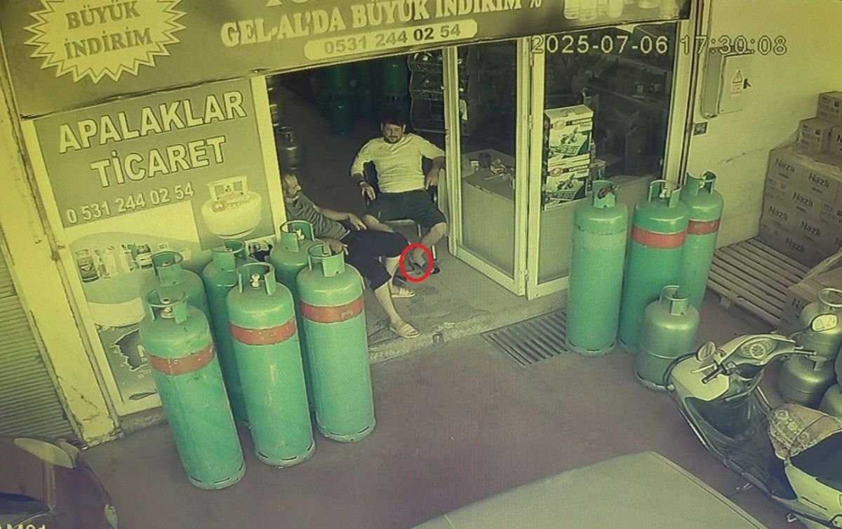 Alanya Payallar Mahallesinde Yılan Sürprizi: Tüpcü Dükkanında Çılgın Anlar