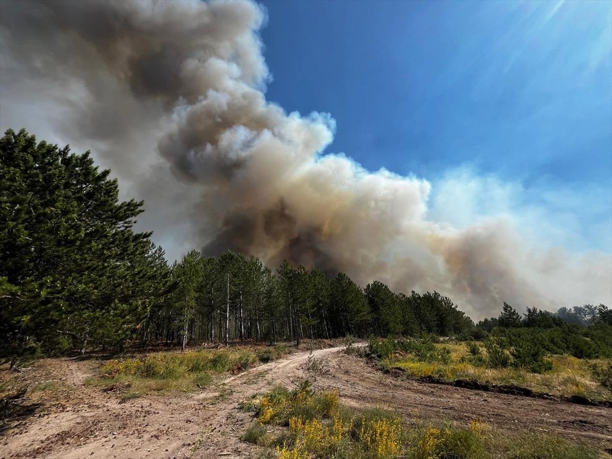 Sındırgı İlçesine Bağlı Kürendere Mahallesi'nde Orman Yangını
