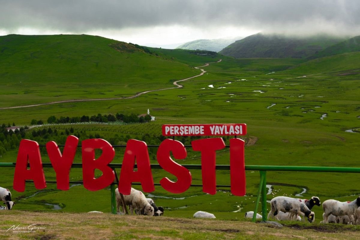 Huzurlu ve Sakin Bir Tatil İçin En İyi Tercih: Ordu