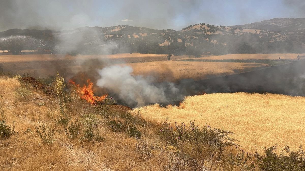 Hisarcık İlçesinde Hasat ve Yangın Olayı