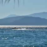 turkiyenin-cittaslow-3-sehri-dG1U7Cp3.jpg