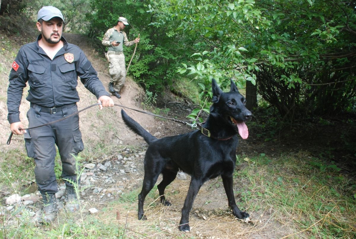 Üç buçuk yaşındaki Evrim, Tokat'ta kayboldu: 7 yıldır haber alınamıyor 3