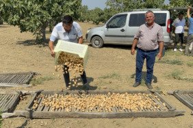 Aydın'da sezonun ilk kuru incirinin kilosu 400 liradan alıcı buldu 4 aydinda-sezonun-ilk-kuru-incirinin-kilosu-400-liradan-alici-buldu-fdtkbvWt.jpg