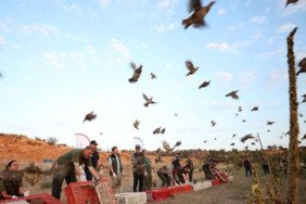 Doğada 982 bin 892 keklik ve sülünle kene mücadelesi 7 dogada-982-bin-892-keklik-ve-sulunle-kene-mucadelesi-A7uHAuUw.jpg