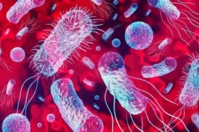 Geç başlangıçlı sepsis, çocuklarda motor ve duyusal gelişim geriliğine neden oluyor 8 gec-baslangicli-sepsis-cocuklarda-motor-ve-duyusal-gelisim-geriligine-neden-oluyor-CVq1ipy4.webp