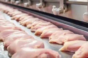 Tavuk eti zehirlenmeleri en fazla hazırlanma süreci yanlışlarından oluyor 7 tavuk-eti-zehirlenmeleri-en-fazla-hazirlanma-sureci-yanlislarindan-oluyor-cDKesZTT.webp