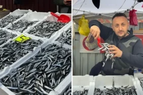 Zonguldak'ta hamsi 50 liradan 150 liraya yükseldi: '3 aydır herkes hamsi yiyor' 6 zonguldakta-hamsi-50-liradan-150-liraya-yukseldi-3-aydir-herkes-hamsi-yiyor-CcFUG6DB.webp