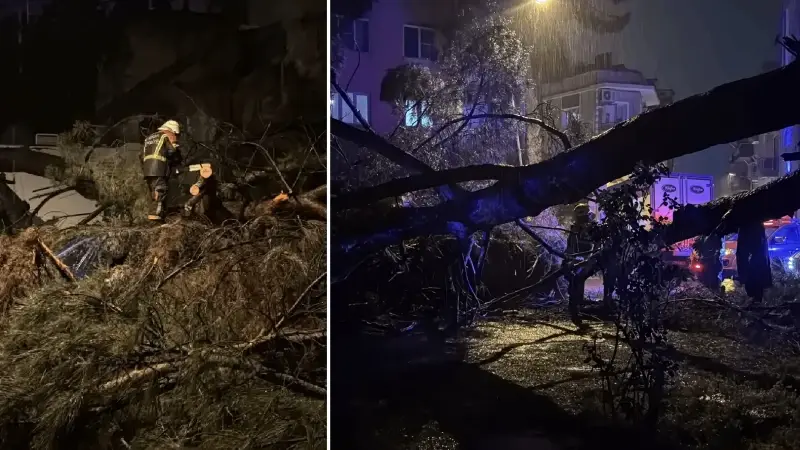 Aydın'da ağacın otomobilin üzerine devrilmesi sonucu iki kişi yaralandı 4 aydinda-agacin-otomobilin-uzerine-devrilmesi-sonucu-iki-kisi-yaralandi-hW28tYlH.webp
