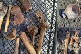 Eğirdir Gölü'nün suyu çekilen kıyı kesiminde insan kemikleri bulunan küpler ortaya çıktı 69 egirdir-golunun-suyu-cekilen-kiyi-kesiminde-insan-kemikleri-bulunan-kupler-ortaya-cikti-LlpfK3BR.webp