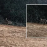 Gündüz vakti ortaya çıktı: Bir anda ortadan kayboldu 65 gunduz-vakti-ortaya-cikti-bir-anda-ortadan-kayboldu-1bXkqg2l.webp