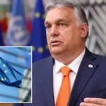 Macaristan Başbakanı Orban AB'yi eleştirdi: Ahlaki üstünlük iddianız çöktü 60 macaristan-basbakani-orban-abyi-elestirdi-ahlaki-ustunluk-iddianiz-coktu-B5cvQvxU.webp