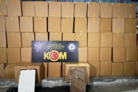 adanada-23-milyon-tl-degerinde-kacak-sigara-ele-gecirildi-9ekJ7VFN.jpg