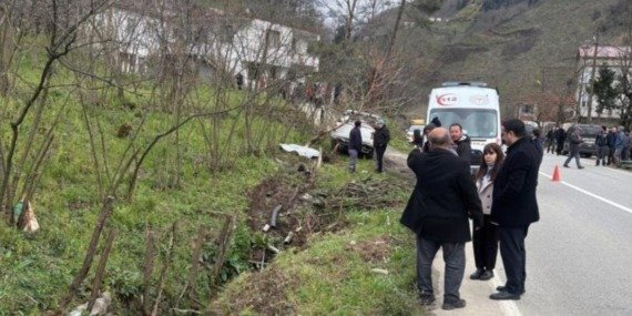 Başıboş Köpek Trafik Kazası Sonucu Ölüm 10 basibos-kopek-trafik-kazasi-sonucu-olum-ekO3QUga.jpg