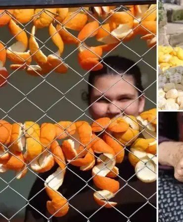 dalda-kalan-limon-ve-turunc-kabuklari-nakite-donusuyor-65-tlden-satiyorlar-MMTs39tZ.webp
