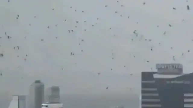 felaketin-habercisi-olarak-yorumlanan-karga-surusunun-tel-aviv-uzerindeki-ucusu-israillileri-korkuttu-qVvAex18.webp