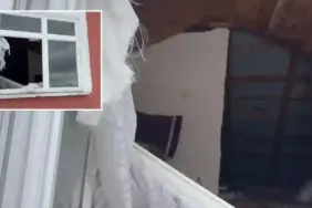 gumushanede-akilalmaz-olay-ayilar-bu-kez-kapidan-degil-pencereden-girdi-x9RkjR6E.webp