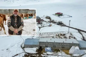 İstanbul'dan Köyde Servetini Büyan Eden Adamın 2 Yılda İki Kat Kazancı 5 istanbuldan-koyde-servetini-buyan-eden-adamin-2-yilda-iki-kat-kazanci-1xbvUKRH.webp