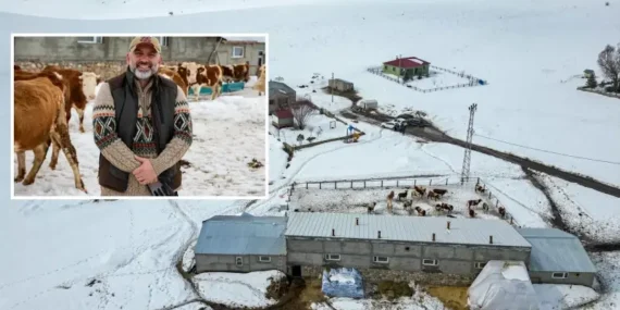 İstanbul'dan Köyde Servetini Büyan Eden Adamın 2 Yılda İki Kat Kazancı 8 istanbuldan-koyde-servetini-buyan-eden-adamin-2-yilda-iki-kat-kazanci-1xbvUKRH.webp