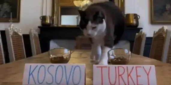 kahin-kediden-kosova-turkiye-maci-tahmini-5SBn2HLM.webp