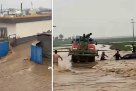 Ayvalık'ta kıyıya ölü deniz kaplumbağası vurdu 5 thumbnail