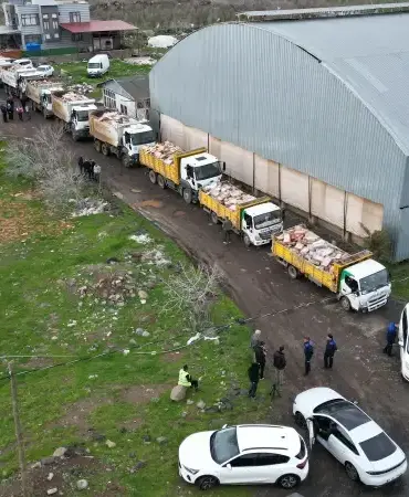 sanliurfada-gida-skandali-50-ton-bozuk-tavuk-ele-gecirildi-38A1DMTx.webp
