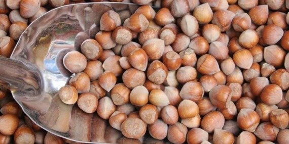 TMO Kabuklu Fındık Satışı Yapmadığını Duyurdu 5 tmo-kabuklu-findik-satisi-yapmadigini-duyurdu-arXcLdjL.jpg